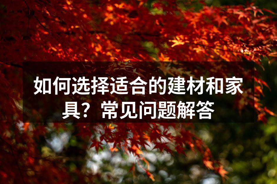 如何选择适合的建材和家具？常见问题解答